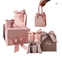 Pequeño portador de empaquetado de lujo de la bolsa de papel del regalo de Rose Pink CMYK con las manijas 230gsm de la cinta
